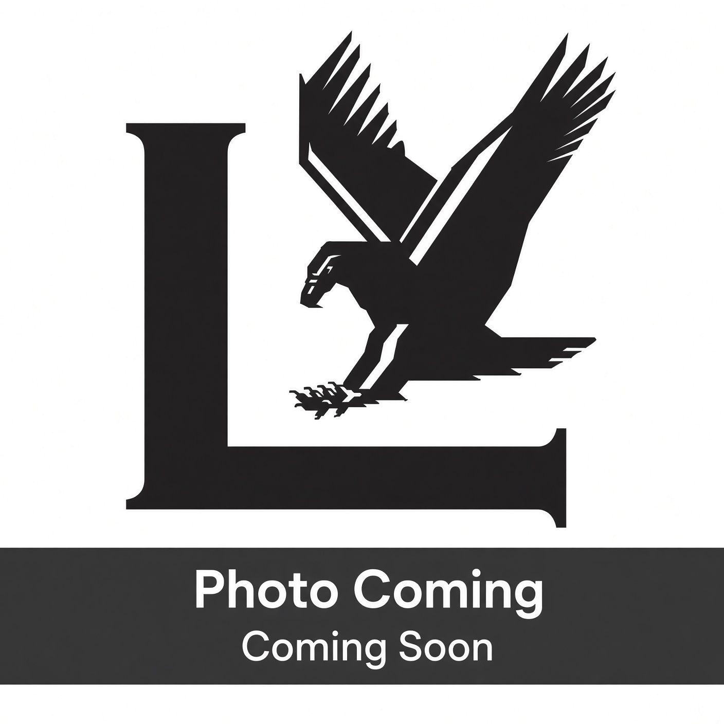 grok-image-15905c42-1979-4cf7-b46e-8a8087d7c0dc